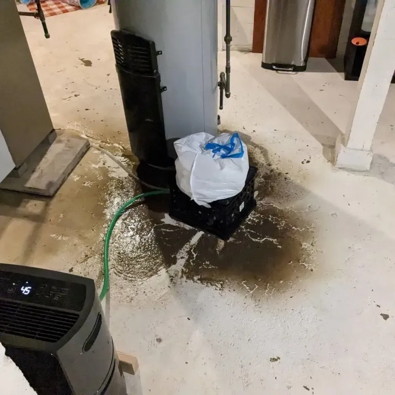Sewage Backup Cleanup Service in Ulysses, KS